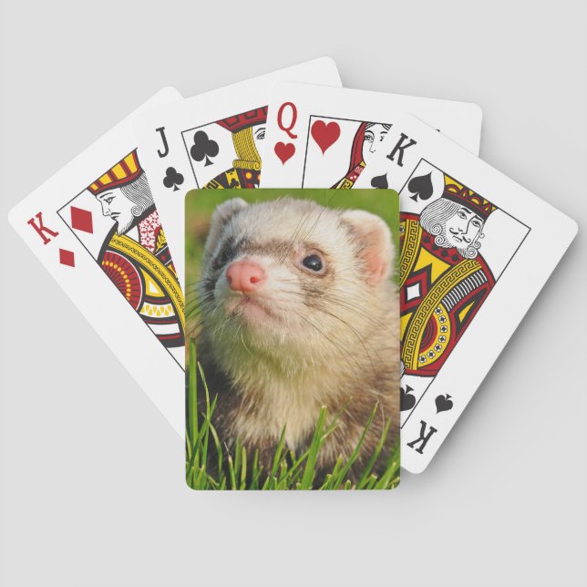 Sable Ferret im Gras Spielkarten (Rückseite)