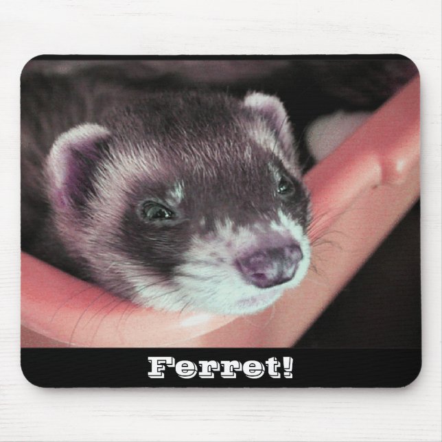 Sable Ferret Mousepad (Vorne)