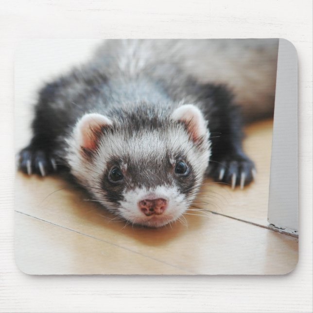 Sable Ferret Mousepad (Vorne)