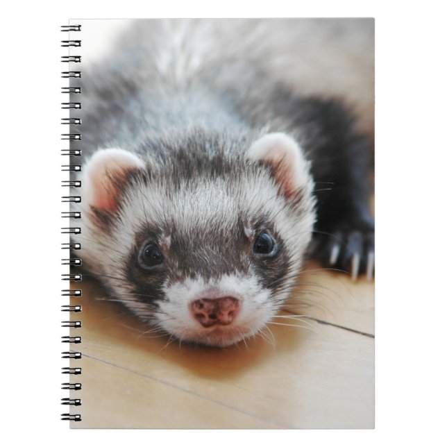 Sable Ferret Notizblock (Vorderseite)