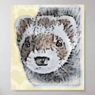 Sable Ferret Picture Poster
