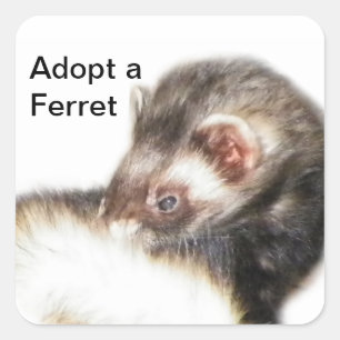 Sable Ferret Picture Quadratischer Aufkleber