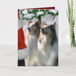 Sable Rough Collie Christmas Geschenke Feiertagskarte