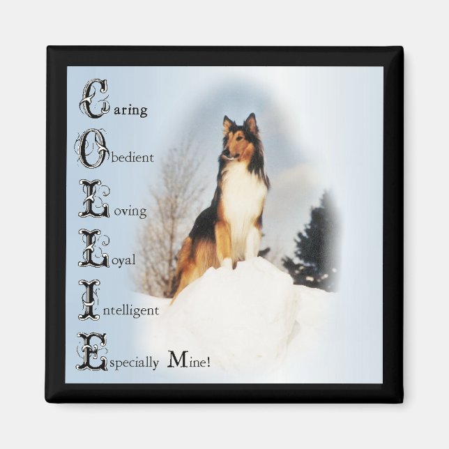 Sable Rough Collie Geschenke Magnet (Vorne)