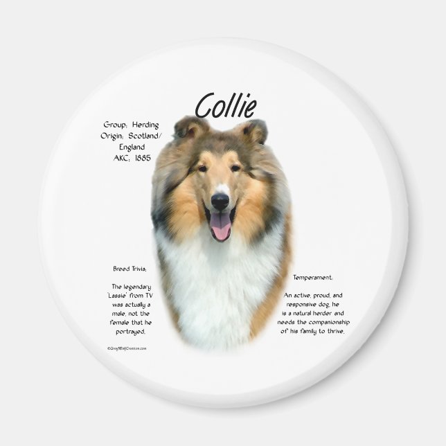 Sable Rough Collie Meet Breed - Magnet (Vorne)