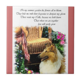 Sable Rough Collie wo Liebe wächst Fliese