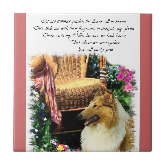 Sable Rough Collie wo Liebe wächst Fliese (Vorderseite)