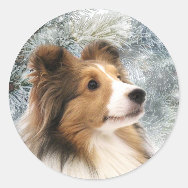 Sable Sheltie Weihnachten Runder Aufkleber (Vorderseite)