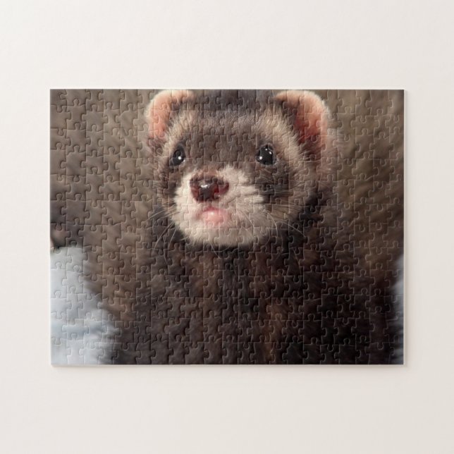 Sable Weasel - Jabba the Ferret Puzzle (Horizontal)