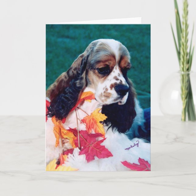Sable white Cocker Spanel Karte (Vorderseite)