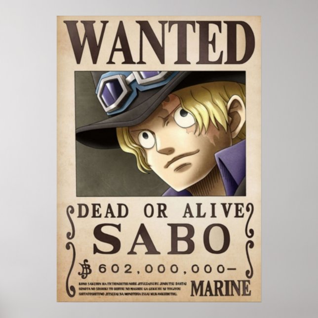 Sabo gewollt poster (Vorne)