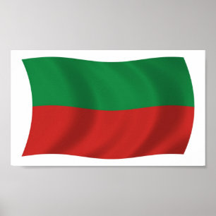 Sac & Fox Nation (Iowa) Flag Poster Print