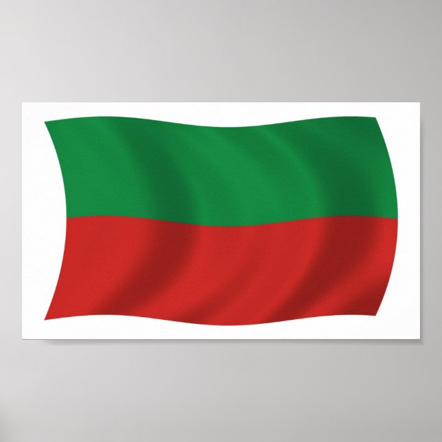 Sac & Fox Nation (Iowa) Flag Poster Print (Vorne)