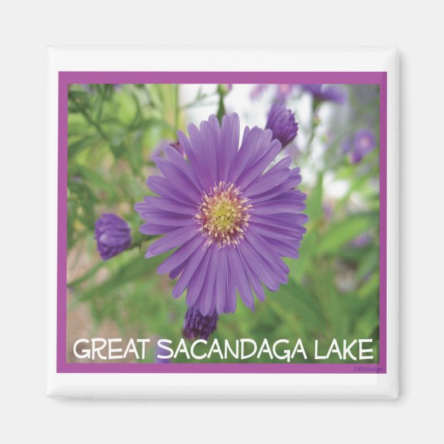 Sacandaga Lila Burst Magnet (Vorne)