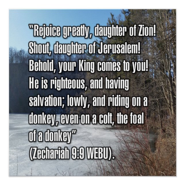 Sacharja 9:9 WEBU Poster (Vorderseite)