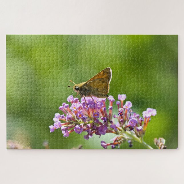 Sachem (Atalopedes campestris) Puzzle (Horizontal)