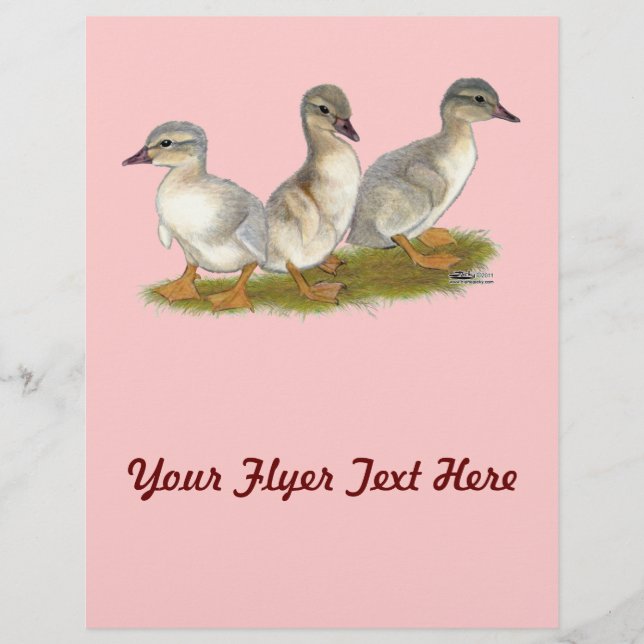 Sachsen Ducklings Flyer (Vorne)