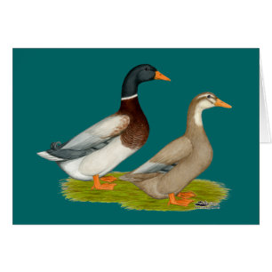 Sachsen Ducks