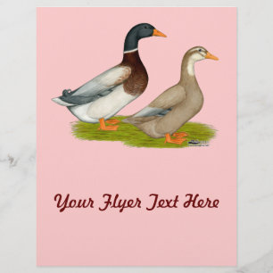 Sachsen Ducks Flyer