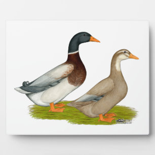 Sachsen Ducks Fotoplatte