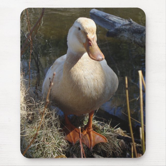 Sachsen-Ente Mousepad (Vorne)