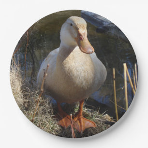 Sachsen-Enten-Pappteller Pappteller