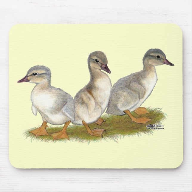 Sachsen Entlein Mousepad (Vorne)