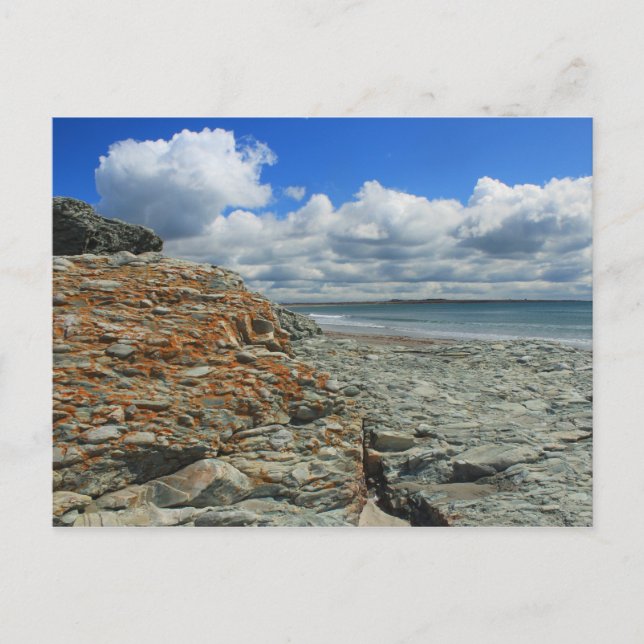 Sachuest Beach Newport Middletown Postkarte (Vorderseite)