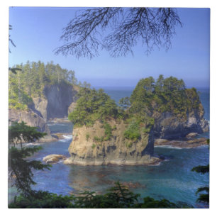 Säcke, Stammesgebiete der Makah-Nation, Kap Fliese