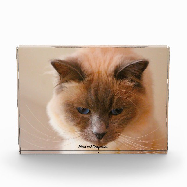 Sacrad Cat Fotoblock (Vorderseite)