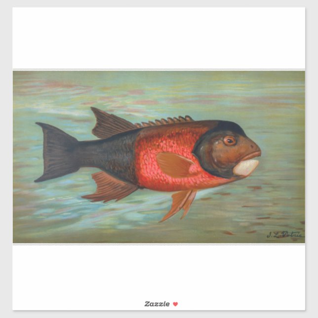 Sacramento Pike von John L Petrie Aufkleber (Blatt)