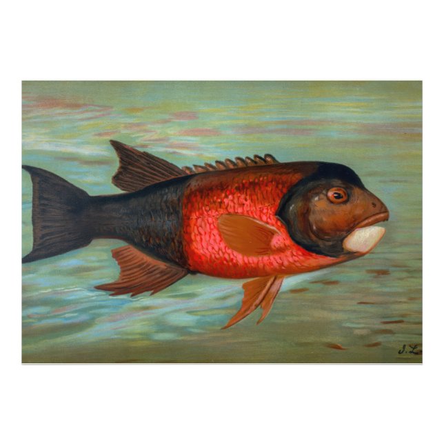 Sacramento Pike von John L Petrie Fotodruck (Vorne)