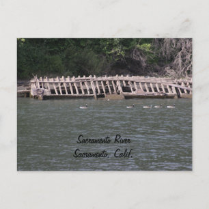 Sacramento River Postcard Postkarte