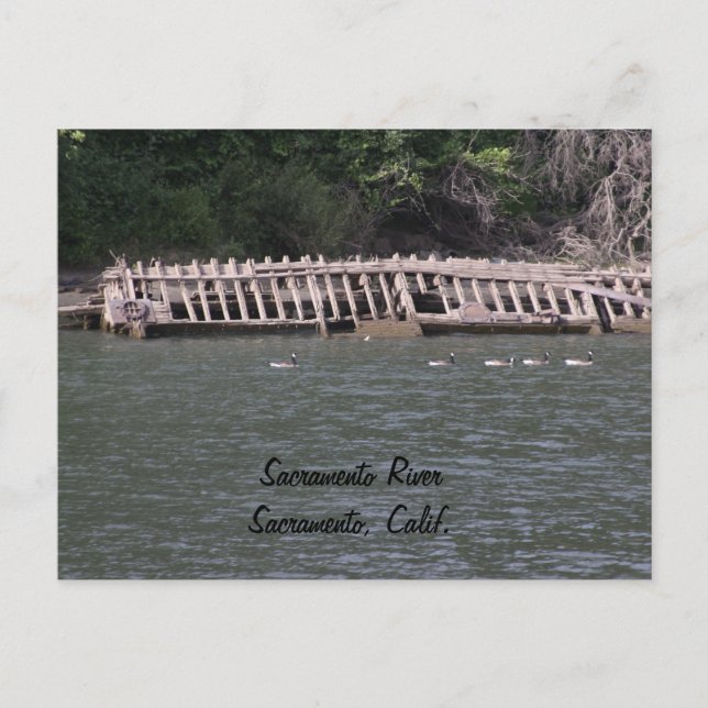 Sacramento River Postcard Postkarte (Vorderseite)