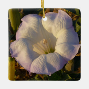 Sacred Datura Blume Wüste Wildblume Keramikornament