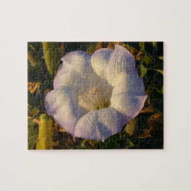 Sacred Datura Blume Wüste Wildblume Puzzle (Horizontal)