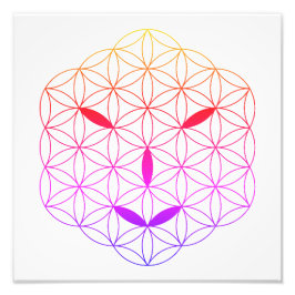 Sacred face - Arcturian 02, CF-Tr. Fotodruck