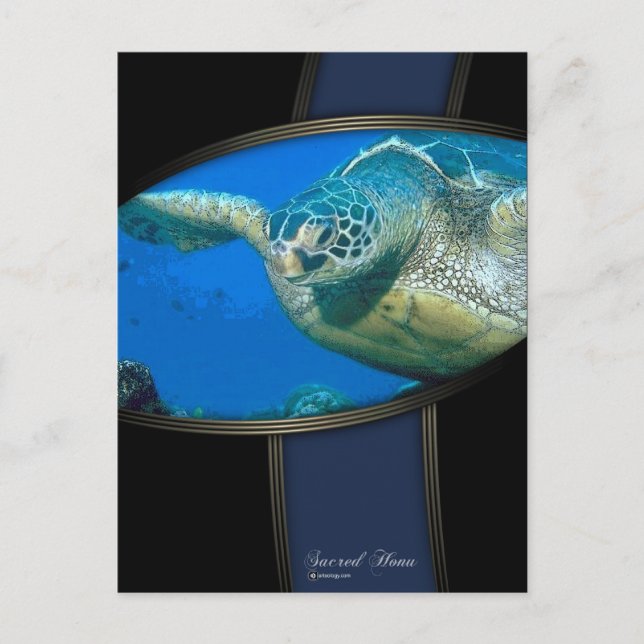 SACRED HONU POSTKARTE (Vorderseite)