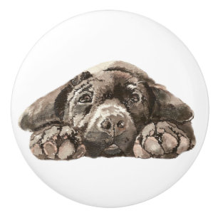 Sad Black Labrador Retriever Hund Tier Tier Keramikknauf