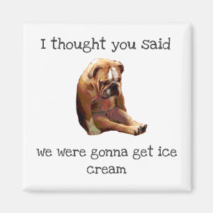 Sad English Bulldog Witz Magnet