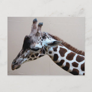 Sad Giraffe Postkarte