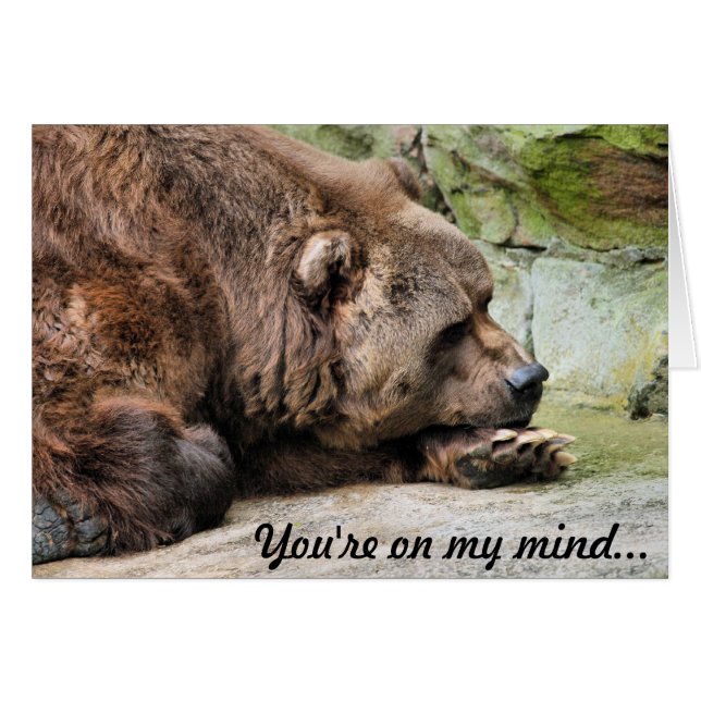 Sad Grizzly Bear (Vorderseite (Horizontal))