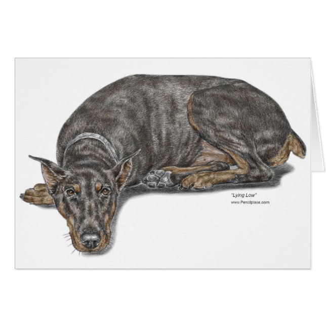 Sad Guilty Looking Doberman (Vorderseite (Horizontal))