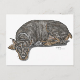 Sad Guilty Looking Doberman Postkarte