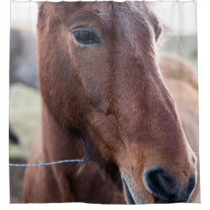 SAD HORSE DUSCHVORHANG