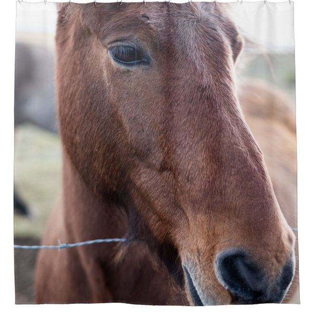 SAD HORSE DUSCHVORHANG (Vorderseite)