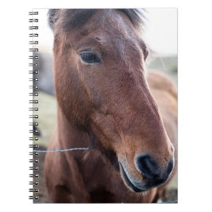SAD HORSE NOTIZBLOCK