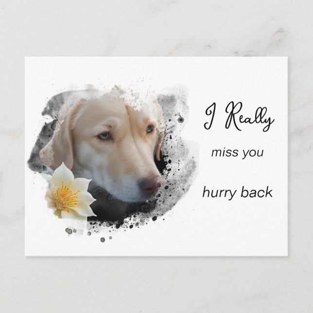*~ Sad Hund AP61 Blume Miss Sie beeilen Postkarte (Vorderseite)