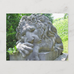 Sad Lion Postcard Postkarte