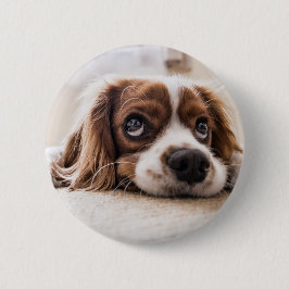 Sad-Mit Augen Cocker Spanierhund Button